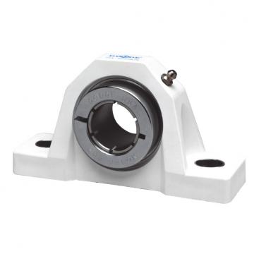 Mounted Ball Bearings P2B-DLEZ-100-PCR