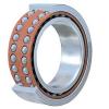 Angular Contact Ball Bearings 3302 ATN9/C3 #1 small image