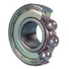 Single Row Ball Bearings 16004-A-2Z #1 small image