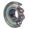 Single Row Ball Bearings 6000Z/1E