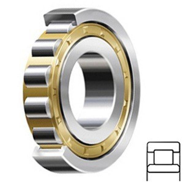 Cylindrical Roller Bearings NU326EMAC3 #1 image