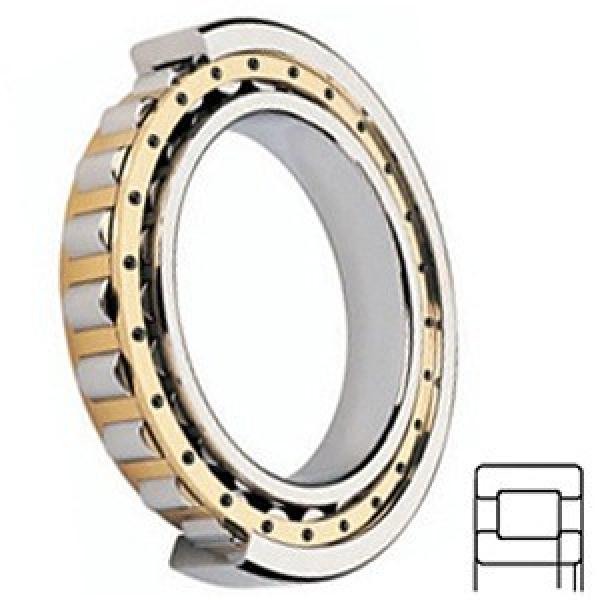 Cylindrical Roller Bearings 320RT92AC1112 R3 #1 image