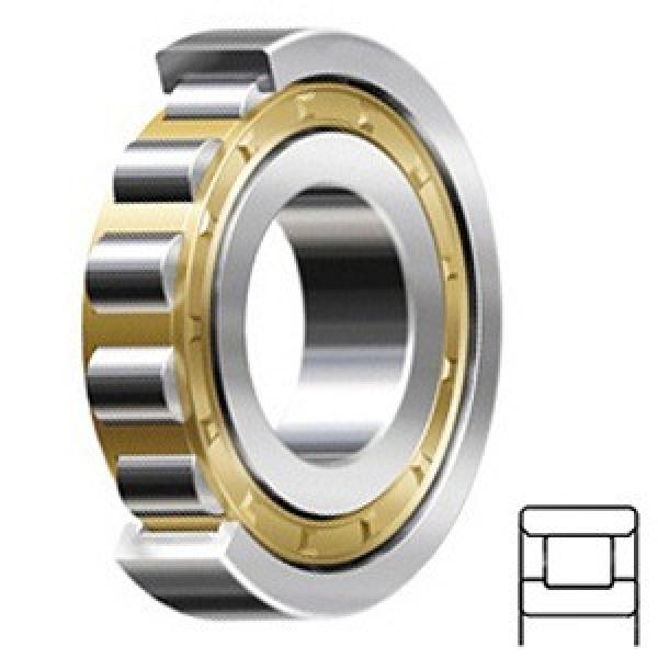 Cylindrical Roller Bearings 190RN92 R3 #1 image