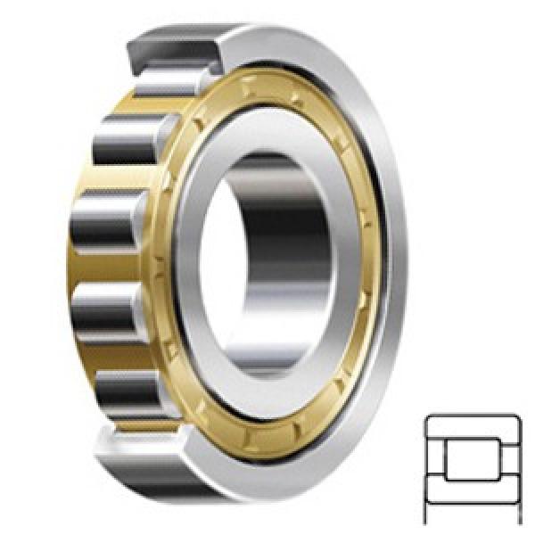 Cylindrical Roller Bearings 140RF93 BA1354 R3 #1 image
