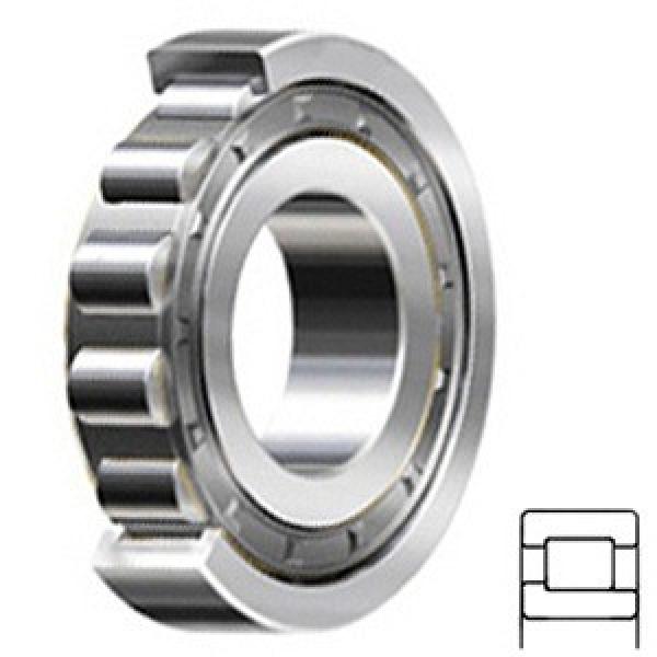 Cylindrical Roller Bearings NJ 326 ECJ/C4 #1 image