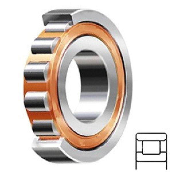 Cylindrical Roller Bearings N 215 ECP/C3 #1 image
